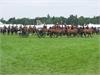 The King's Troop Royal Horse Artillery